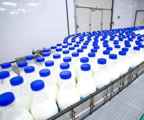 Молочная промышленность